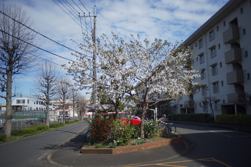 ★極美品★OLYMPUS OM G.ZUIKO AUTO-W 35mm f2.8