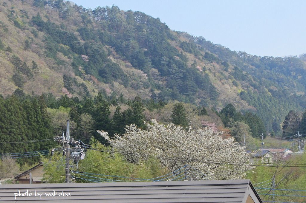 新緑の鬼怒川温泉泊り+ゴルフプレ－のセットで楽しんできました(^^♪_e0052135_16053340.jpg