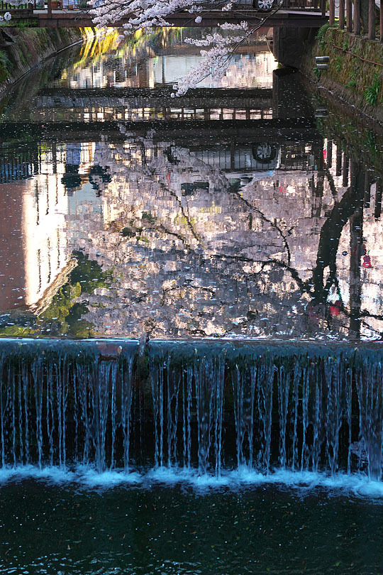 城崎にて～桜の頃～_c0067040_22112025.jpg