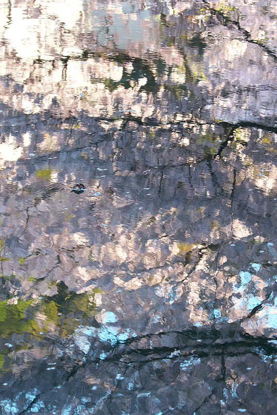 c0067040_22112982.jpg