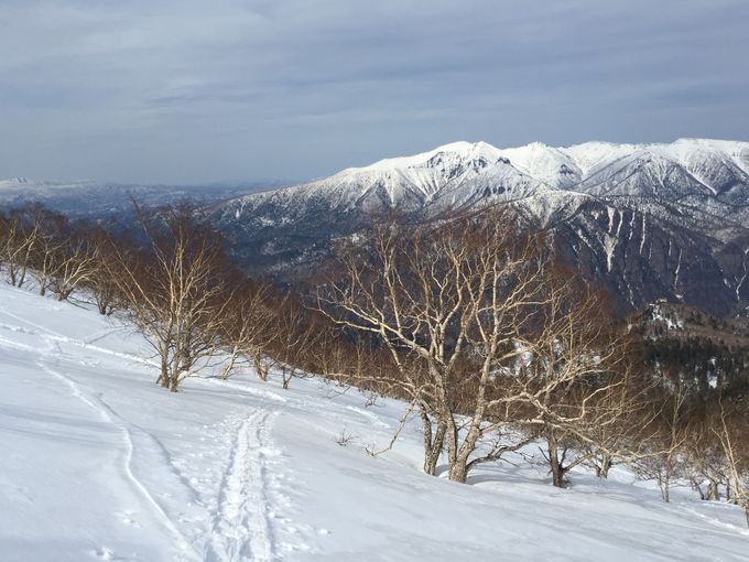 登山　2017年4月　大雪山系　黒岳_b0187142_1534474.jpg