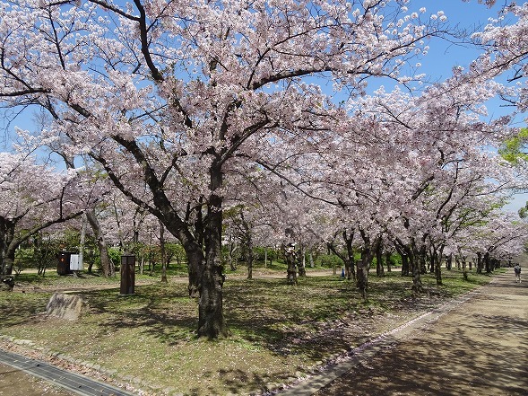 b0299042_21414785.jpg