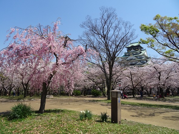 b0299042_21421779.jpg