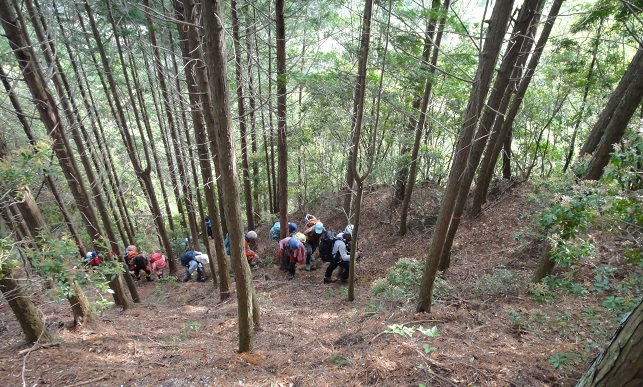 宮崎遠征・・・だき山～国見山～鉾岳_e0164643_21265569.jpg