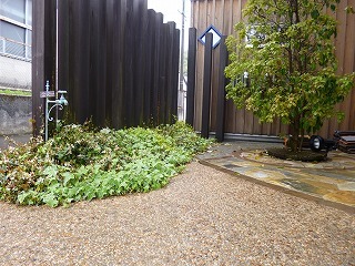 事務所玄関前のアイビー 広島で注文住宅を建てる しおた工務店ブログ 事務所玄関前のアイビー 広島で注文住宅を建てる しおた工務店ブログ