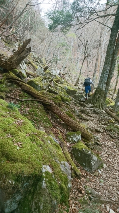 大峰　前鬼～大日岳～前鬼、釈迦ヶ岳？_b0148050_19483694.jpg