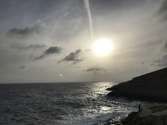 b0002156_52485.jpg