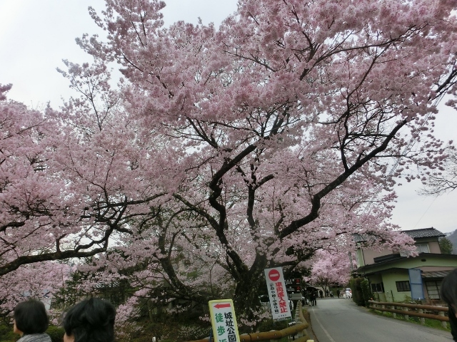 c0328559_11295234.jpg