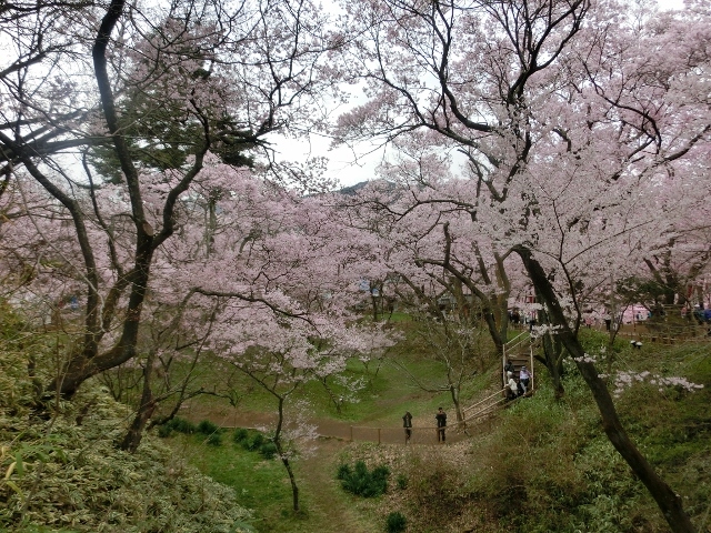 c0328559_11475531.jpg
