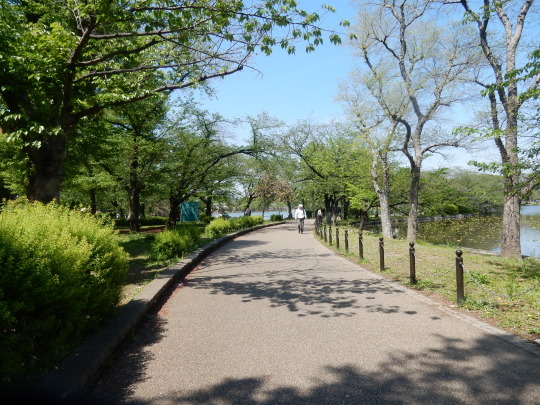 ’17,4,26(水)Hさんと上野で会ったYO!_f0060461_08295505.jpg