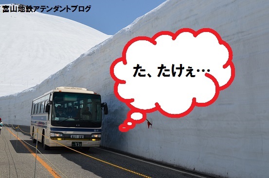 雪の大谷、今年は・・・_a0243562_15361676.jpg