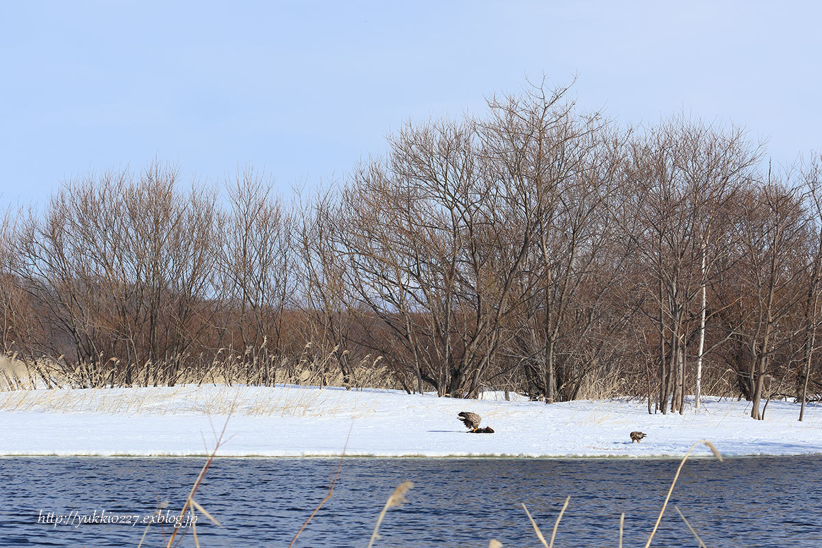 f0054366_20124853.jpg