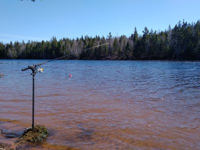 c0353373_21203334.jpg