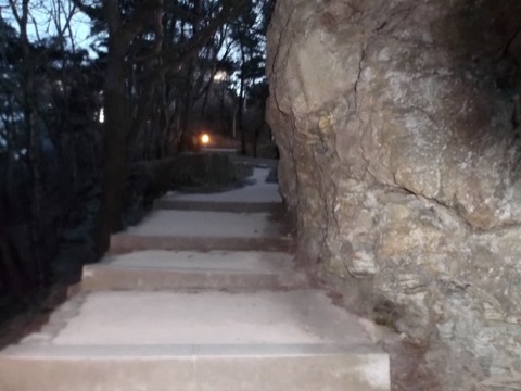 d0115985_07435887.jpeg