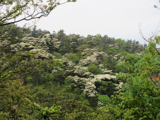 岬高校＆雑記_f0053885_19251024.jpg