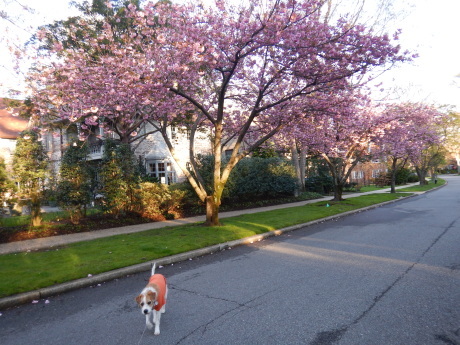 c0253487_04271495.jpg