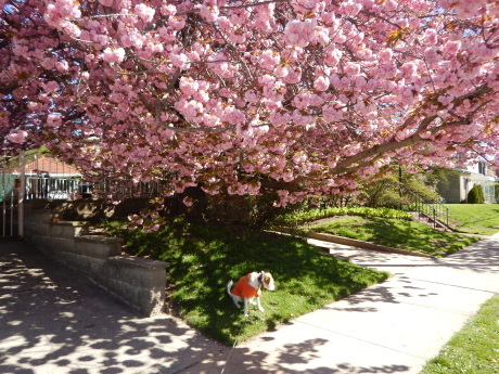 c0253487_04364860.jpg