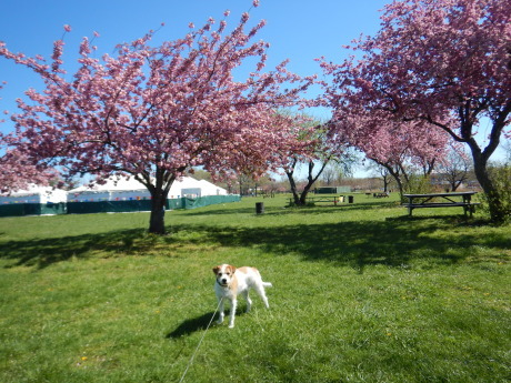 c0253487_04462700.jpg