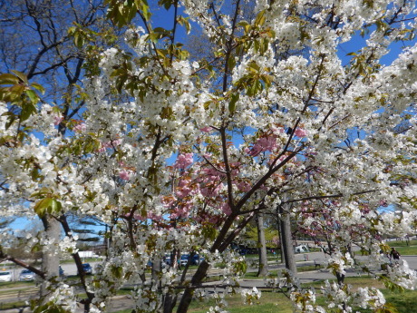 c0253487_04520521.jpg