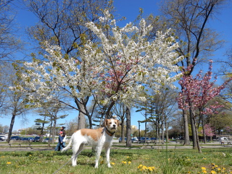 c0253487_04573494.jpg