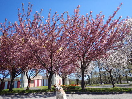 c0253487_05100110.jpg