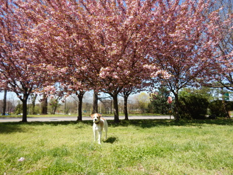 c0253487_05104745.jpg