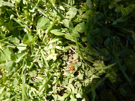 c0253487_05300188.jpg