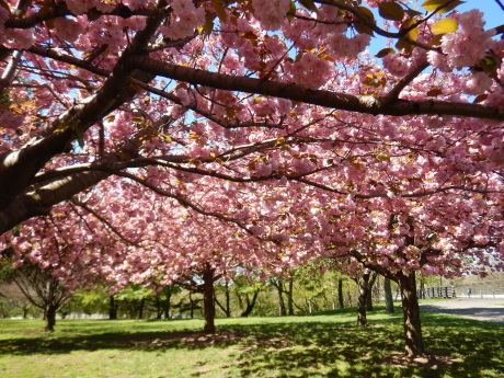 c0253487_05302898.jpg