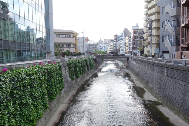 神田川（3）高田馬場～江戸川橋01-高田_d0183387_15452369.jpg