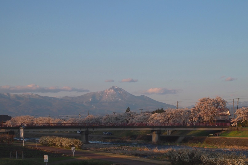 夕暮れの宮川千本桜と磐梯山と_f0174989_15483499.jpg