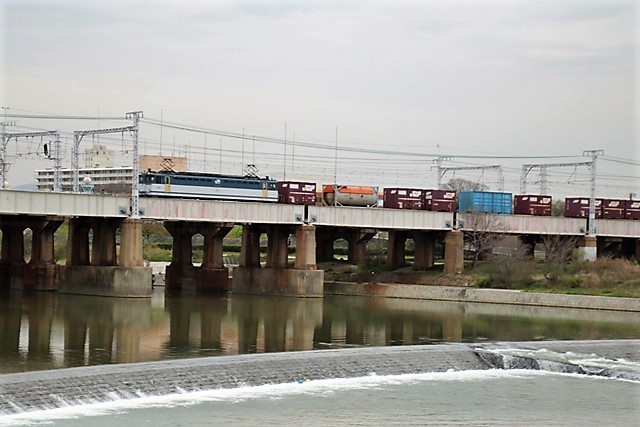 d0181492_17451852.jpg