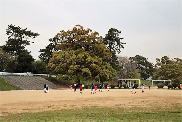 d0181492_17504957.jpg