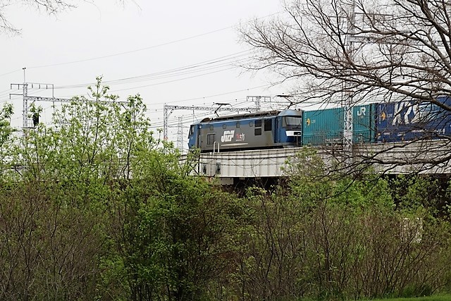 藤田八束の鉄道写真@武庫川鉄橋を渡る貨物列車・・・武庫川、西宮市_d0181492_17542323.jpg