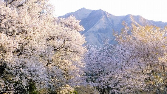 e0176993_07293210.jpg