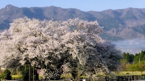 e0176993_07293294.jpg