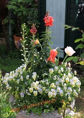 a0123003_08522671.jpg