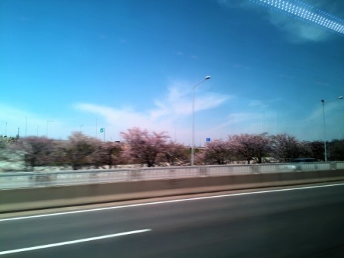 a0140305_02245858.jpg