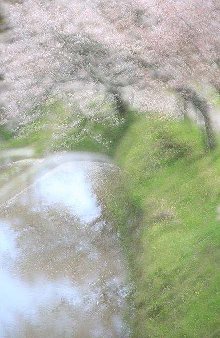 e0308105_23234661.jpg