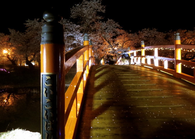 夜桜_a0214206_22172495.jpg