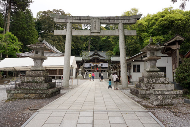 西寒多神社のふじの花情報_b0014607_20271989.jpg