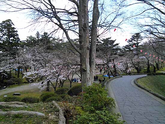 c0009413_22515774.jpg