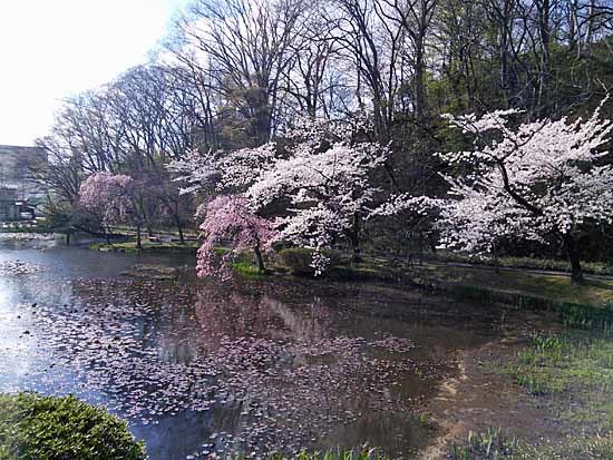 c0009413_22525376.jpg