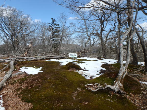 d0198313_21404186.jpg