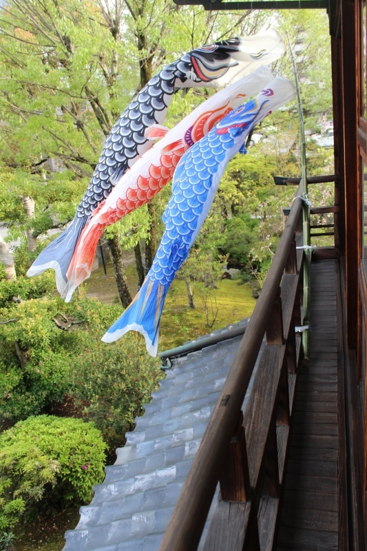 喜楽亭で楽しむ おいしい日本茶 4月_b0220318_00163884.jpg