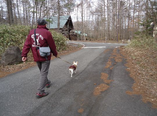 4月の森へと。    卯月_b0248920_18060281.jpg