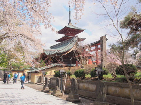 最勝院五重塔の桜（弘前市）*2017.04.27_b0147224_21315279.jpg