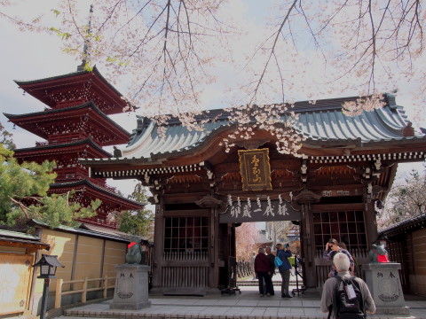 最勝院五重塔の桜（弘前市）*2017.04.27_b0147224_21324082.jpg