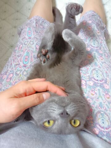 はやくこいこい_d0152937_22134775.jpg