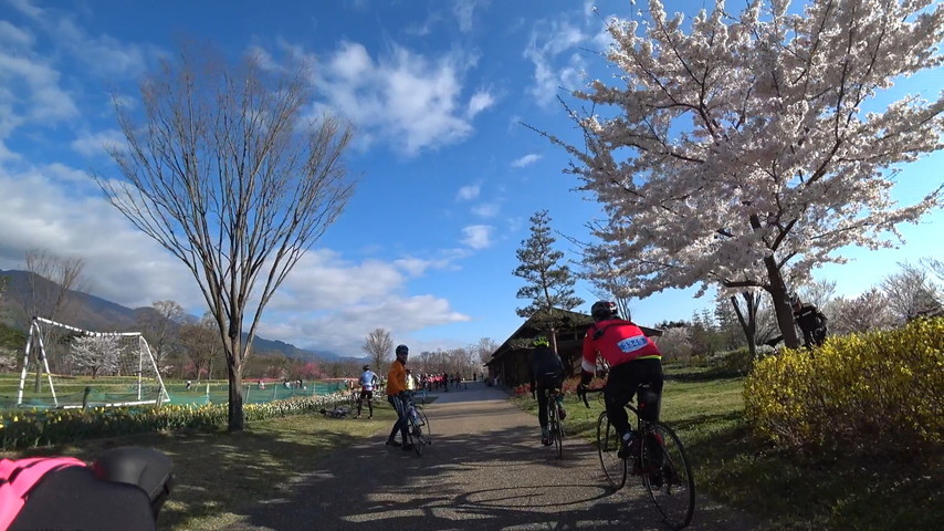 【安定の】桜のAACRに参加してみた②【ぼっち】_a0360141_10391859.jpg