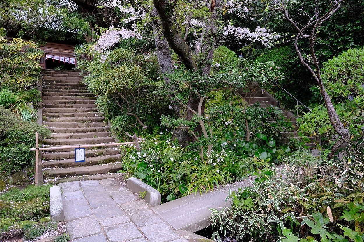 b0212342_11373765.jpg